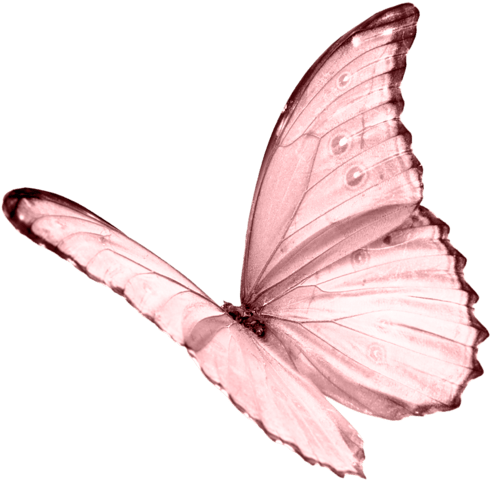 papillon transformation claudine cloutier - guidance sensitive